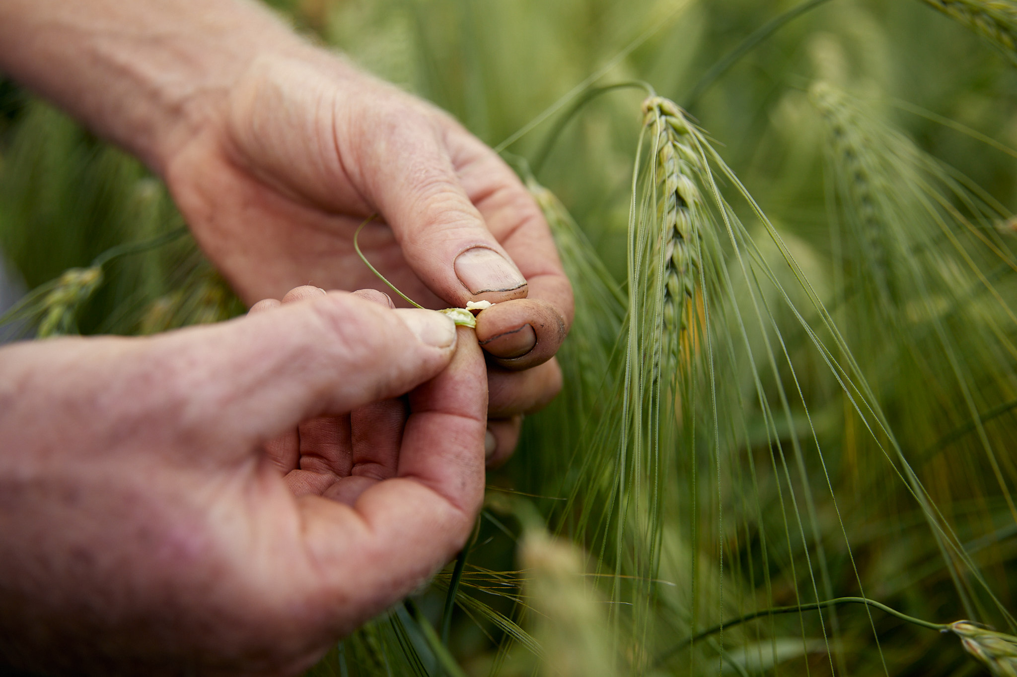 Thank You For Helping Deepen Our Work | £20,000 Raised For Seed